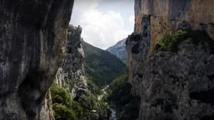 Verdon - The Show Must Go On — imagem 6