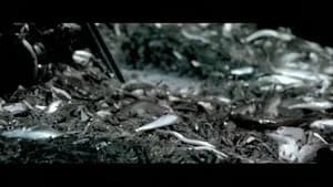 Nachtwake — imagem 1
