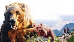 O Urso — imagem 8