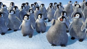 Happy Feet: O Pinguim — imagem 7