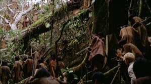 Fitzcarraldo — imagem 3