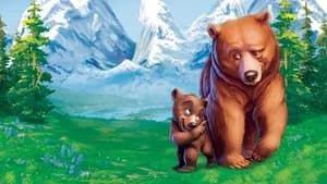Irmão Urso — imagem 5