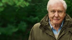 David Attenborough e Nosso Planeta — imagem 4