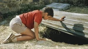 Eu Não Tenho Medo — imagem 3