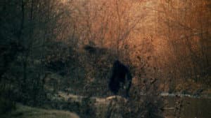 The Legend of Boggy Creek — imagem 13