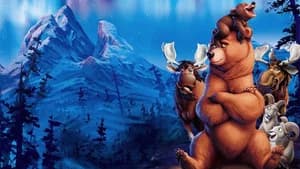 Irmão Urso — imagem 6