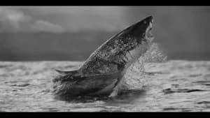 Air Jaws Strikes Back — imagem 1