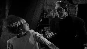 A Noiva de Frankenstein — imagem 11