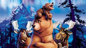 Irmão Urso — imagem 4