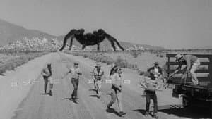 Tarântula! — imagem 5