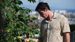 Rosebush Pruning — imagem 8