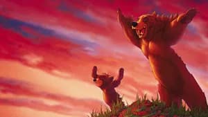 Irmão Urso — imagem 3
