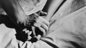 Os Amantes — imagem 3