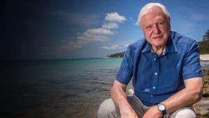 David Attenborough e Nosso Planeta — imagem 6