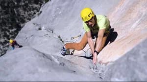 Verdon - The Show Must Go On — imagem 5