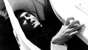Horror de Drácula — imagem 8