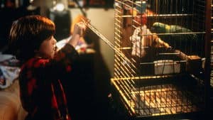 Esqueceram de Mim 3 — imagem 5