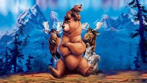 Irmão Urso — imagem 2