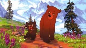 Irmão Urso — imagem 11