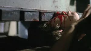 Violência e Terror — imagem 5