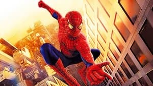 Homem-Aranha — imagem 2