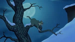 Felidae — imagem 14
