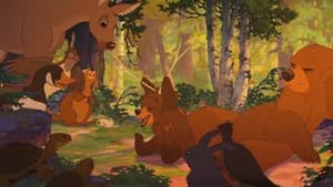 Irmão Urso — imagem 7