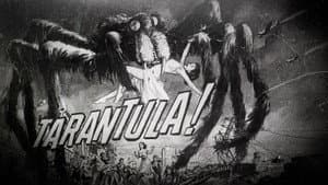 Tarântula! — imagem 9