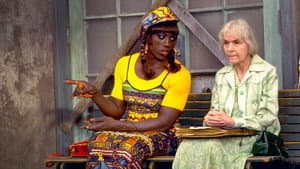 Para Wong Foo, Obrigada Por Tudo! Julie Newmar — imagem 10