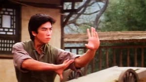 Drunken Tai Chi — imagem 1