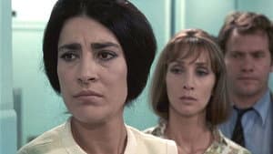 Z — imagem 9