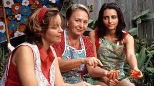 Looking for Alibrandi — imagem 4