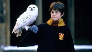 Harry Potter e a Pedra Filosofal — imagem 10