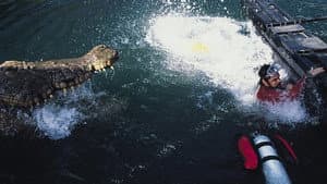Pânico no Lago — imagem 9