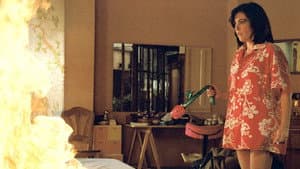 Mulheres à Beira de um Ataque de Nervos — imagem 9