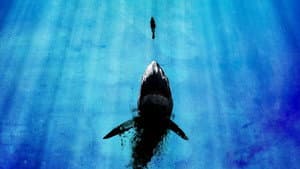 Do Fundo do Mar — imagem 14