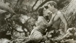 Tarzan - O Filho das Selvas — imagem 3