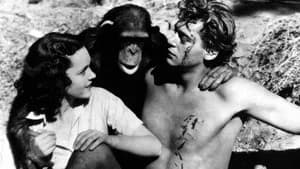Tarzan - O Filho das Selvas — imagem 6
