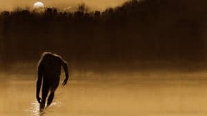 The Legend of Boggy Creek — imagem 1