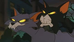 Felidae — imagem 1
