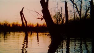 The Legend of Boggy Creek — imagem 7