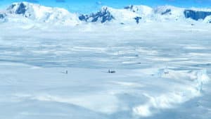 Happy Feet: O Pinguim — imagem 12