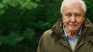 David Attenborough e Nosso Planeta — imagem 3