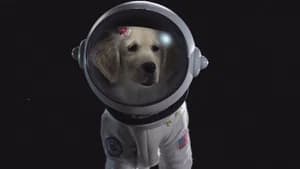 Space Buddies: Uma Aventura no Espaço — imagem 8