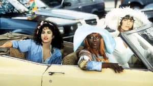 Para Wong Foo, Obrigada Por Tudo! Julie Newmar — imagem 1