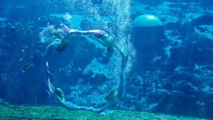 Mermaids — imagem 6