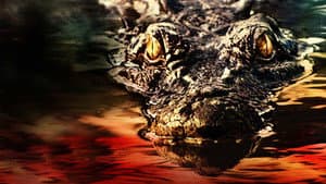 Pânico no Lago — imagem 7