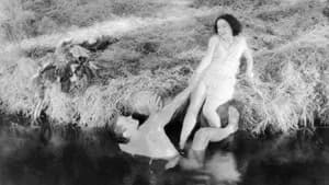 Tarzan - O Filho das Selvas — imagem 4