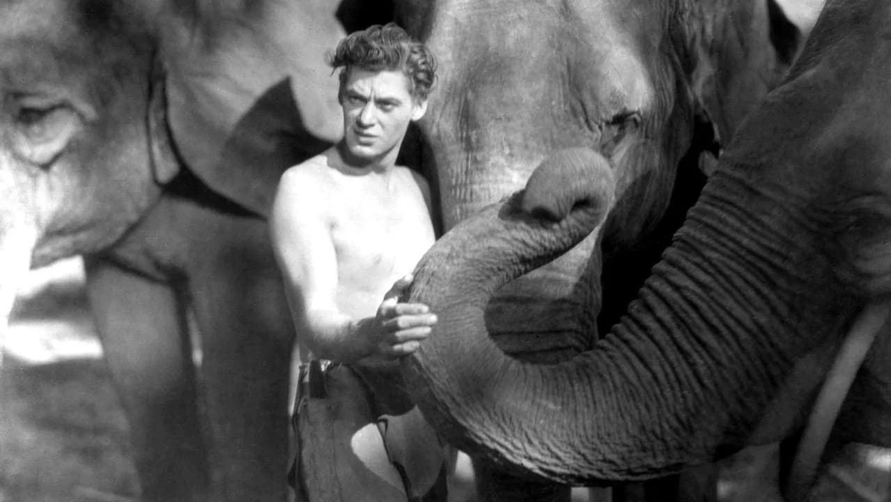 Tarzan - O Filho das Selvas